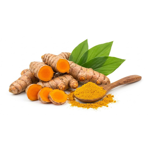 Haridra (Turmeric)