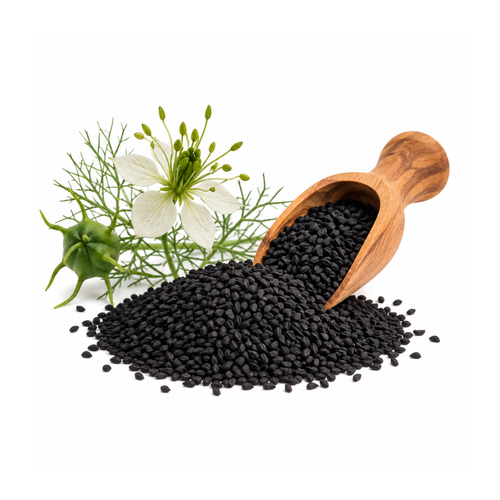Kalongi Extract (Nigella sativa)