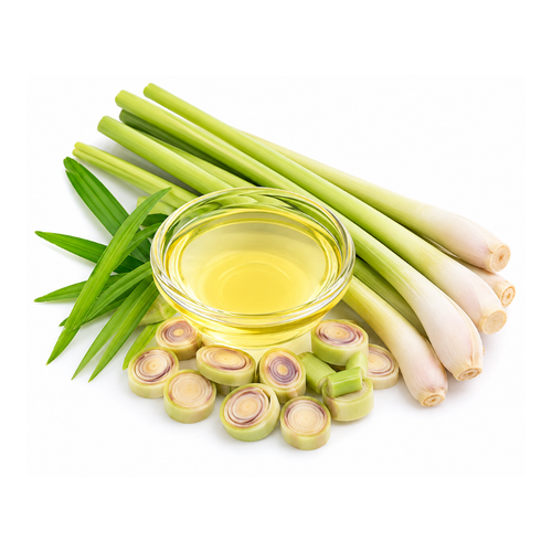 Lemon Grass Oil (Cymbopogon citratus)