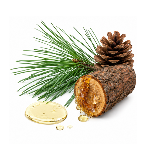 Turpentine Oil (Pinus longifolia)